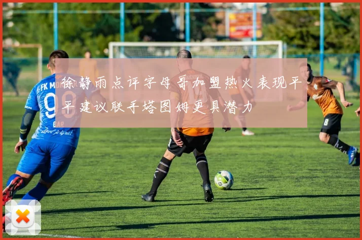 徐静雨点评字母哥加盟热火表现平平建议联手塔图姆更具潜力